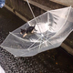 Illustration for article titled Heroic Rescue of a Kitten Captured on Twitter
